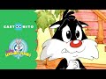 Baby Looney Tunes Change Is Important Cartoonito