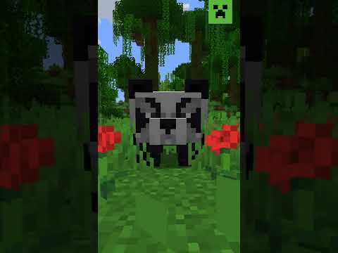 Panda emotions 101: Whatever their mood, cake is always the answer!