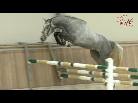 006 CORSINI VD KEIHILL Z