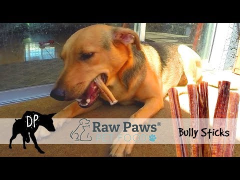 master paws bully chews