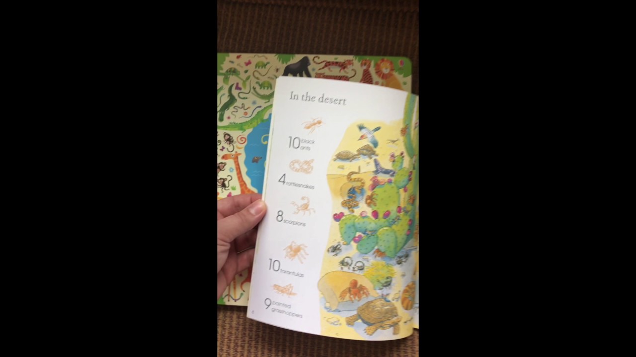 Usborne Seek and Find books