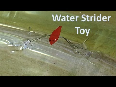 How to make floating insect toy like water strider