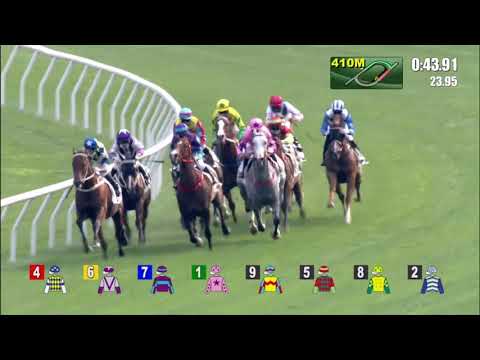 13/3/2021 (504) Wellington - A Badel (A new rising sprinter!)