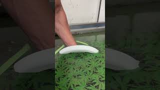 Hydro Dipping #satisfying #hydrodipping