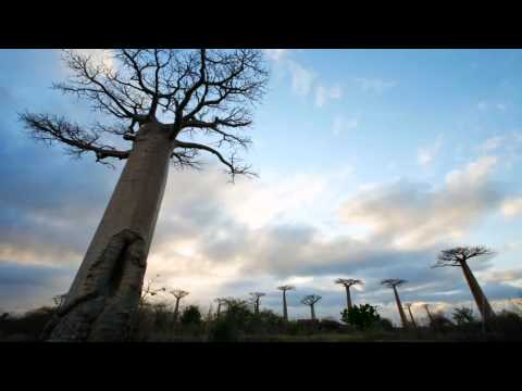 Namazi është shpëtim, Pse nuk u fale? - Hoxhë Irfan Salihu