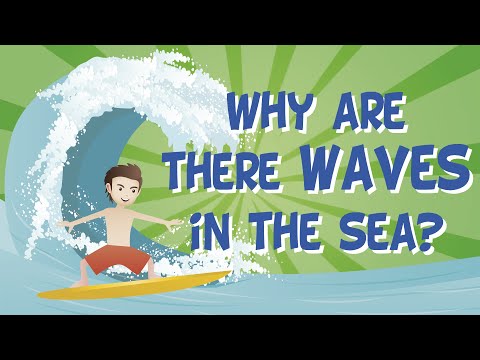 Why Are There Waves In The Sea