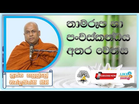 නාමරුප හා පංචස්කන්ධය අතර වෙනස || Ven. Thalalle Chandakiththi Thero