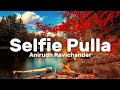 Anirudh Ravichander - Selfie Pulla (Lyrics)