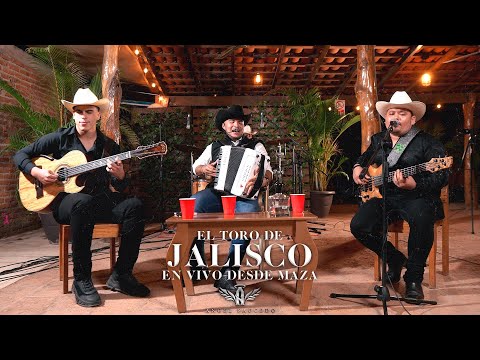 ANGEL SAUCEDO - EL TORO DE JALISCO - (EN VIVO DESDE MAZA)