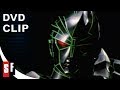 Super Sentai Denji Sentai Megaranger Clip Shamus Kelley Discusses Yugande The Kunekune