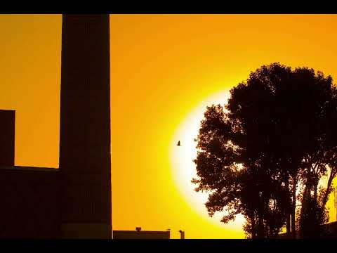 Play Video Youtube Video