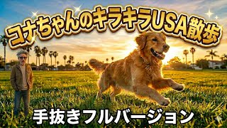 ゴールデンレトリバーコナちゃん初のお散歩フルバージョン 皆日本で元気かな?