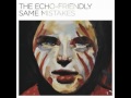 The Echo Friendly - Same Mistakes 