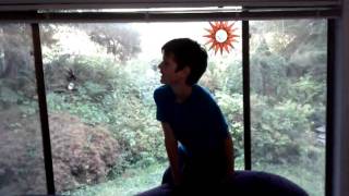 Super dog chase and abundant number 12