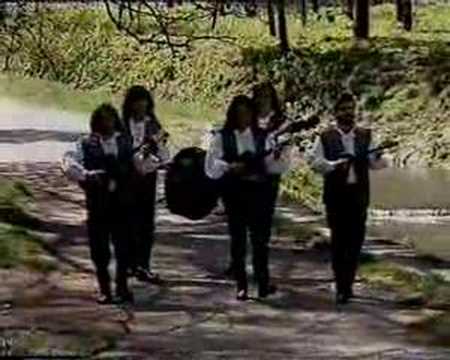 Zlatni dukati - Sve birtije obišo sam