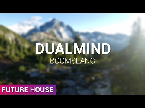 Dualmind - Boomslang