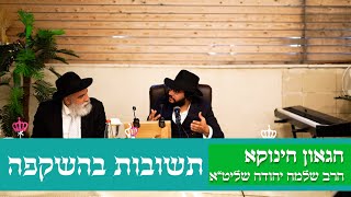 הגאון הינוקא - קטעי תשובות בהשקפה | ברכות הנהנין | ישוב הדעת | להתיש כוח האויב | סיון תשפ"א