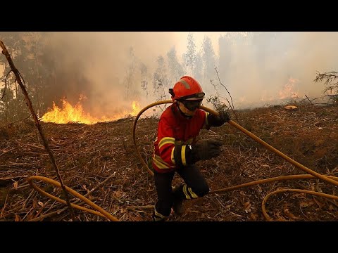 WATCH: Wildfires threaten villages in Portugal amid extreme heat