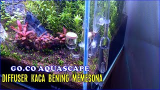 Peralatan CO2 Glass/kaca dari Go.Co Aquascape