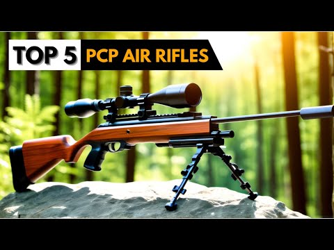 TOP 5 Best PCP Air Rifles 2024 (WATCH Before You Buy)