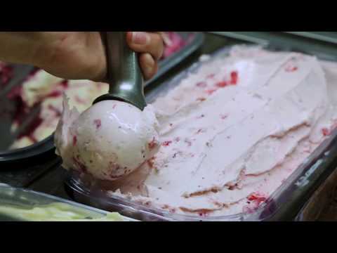 Building the New Dairy