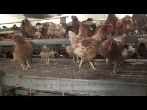 Cumbasil® Mite Mijtenbestrijding