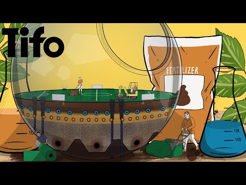 The Incredible Science of Football Pitches