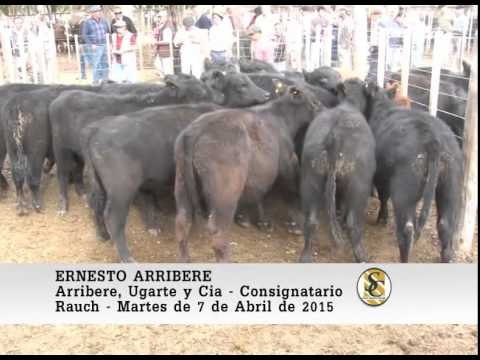 Arribere, Ugarte y Cía. S.R.L. - Rauch - Nota Ernesto Arribere - 07/04/2015