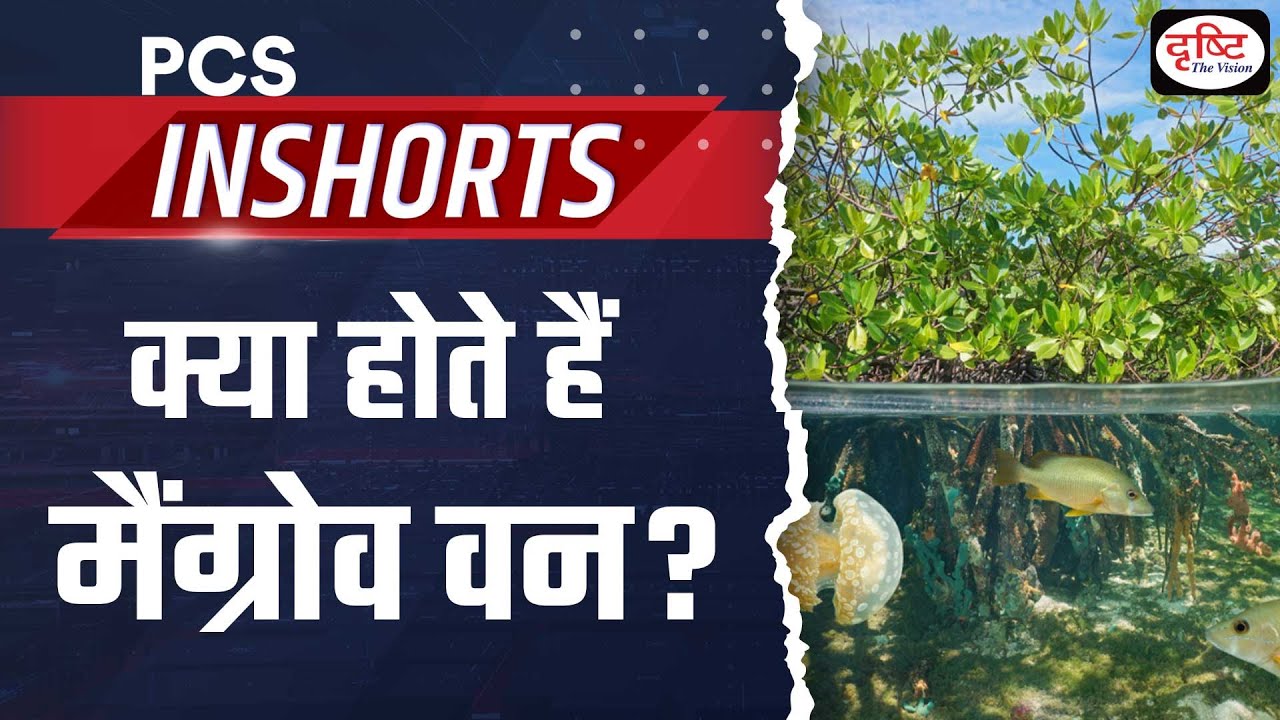 Video guide explaining how mangroves protect coastlines from storm surges