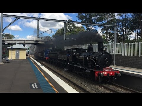 3016, 4001, 4490 and 4520 at Thornleigh