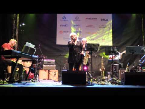 Věra Špinarová - Jednoho dne se vrátíš - Ostrava Slezskoostravský hrad 12.6.2015 Jazz Open 2015