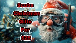 Scuba Christmas Gift Idea For $25