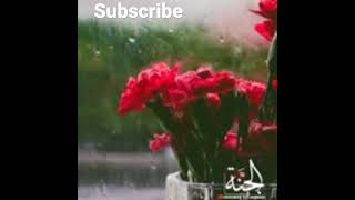Download lagu Hamza boudib |beautiful recitation of Quran|surah Ibrahim❤️❤️❤️ mp3