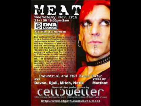 Celldweller - End Mix (Live at the DNA Lounge)