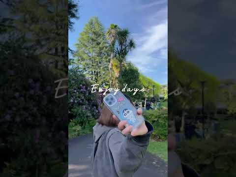 英米語学科学生の留学vlog 🇳🇿ニュージーランド編　#目白大学 #英米語学科 #留学 #留学vlog #shorts