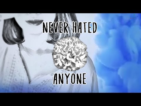 Never Hated Anyone