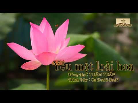Yêu một loài hoa - Đam San
