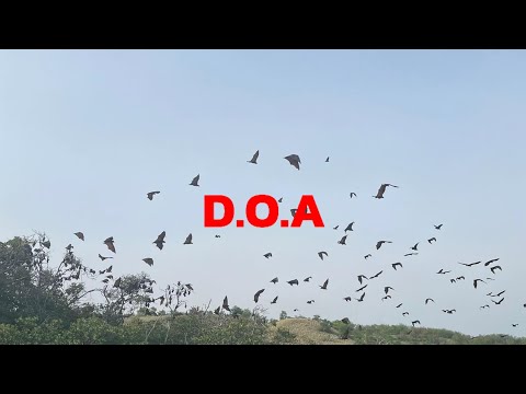 Mikewest - Doa (Lyrics Video)