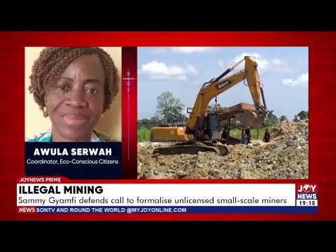 Illegal mining: Sammy Gyamfi defends call to formalise unlicensed small-scale miners.