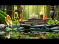 Enlightened Resonance 🌿 Extended Piano Meditation and Relaxation for Deeper Sleep, Spa Music