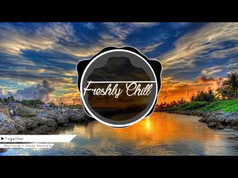 Boomslang ft. Sidney Alexandra - Together [DEEPHOUSE]