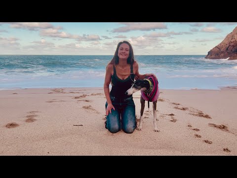 First mini adventure in Cornwall with my new greyhound 🐾 It feels so strange