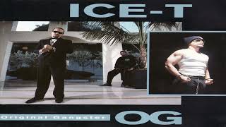 Ice T - Bitches