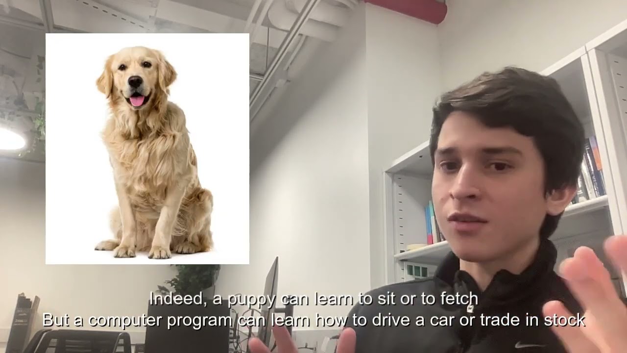 Multi-agent Reinforcement Learning - project explanation