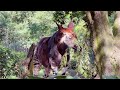 Okapi Up Close Rare Animal Kingdom Encounter Endangered Forest Okapi Conservation