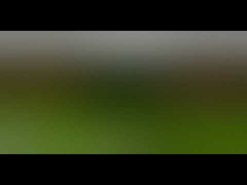 Blurry Stream part 53