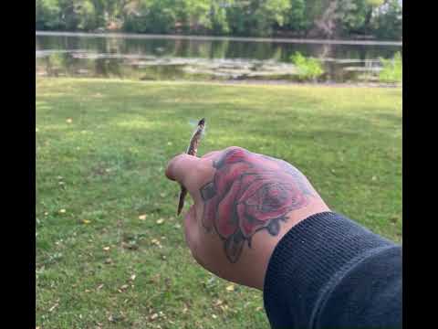 Abands - Message (Official Audio Video)