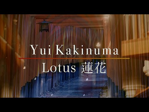 Kensuke Ohira - Yui Kakinuma: Lotus