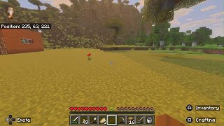 Minecraft with friends