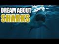 What Does It Mean When You Dream About Sharks - Sign Meaning